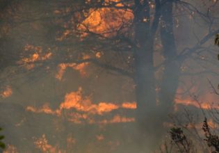 Δήμαρχος Φυλής στο in: «Θα καιγόμασταν σαν τα ποντίκια. Η φωτιά μας είχε περικυκλώσει»