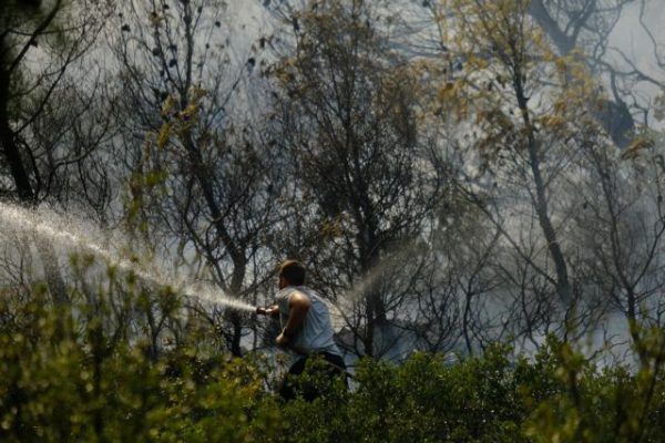 Δήμαρχος Βόρειας Κυνουρίας στο in: «Αν φύγει προς το βουνό η φωτιά δεν θα ελέγχεται»