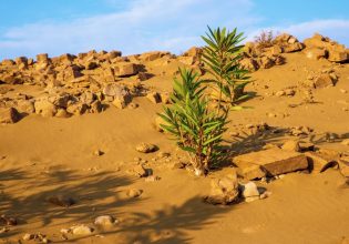 Αμμοθίνες: Η έρημος της Ελλάδας βρίσκεται στο Βόρειο Αιγαίο