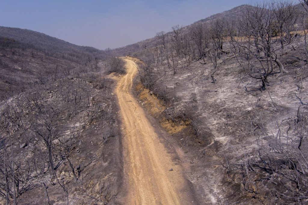 Φωτιά: Περισσότερα από 1.200.000 στρέμματα έχουν καεί στη χώρα μας την τρέχουσα αντιπυρική περίοδο