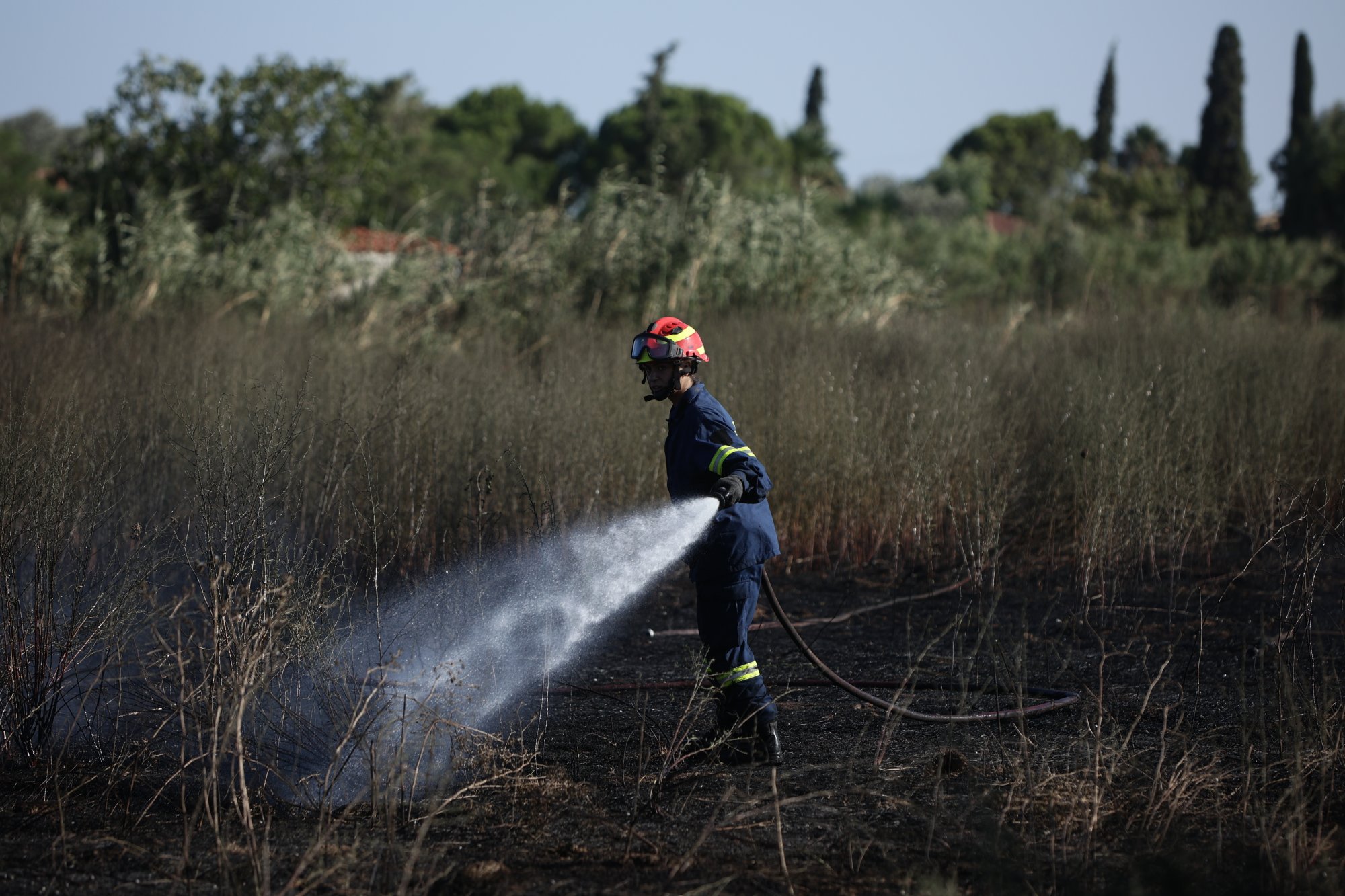 Άργος: Φωτιά σε γεωργική έκταση - Επιχειρούν και εναέρια μέσα