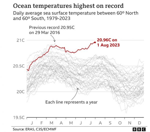Κλιματική αλλαγή: Έσπασε το ρεκόρ θερμοκρασίας των ωκεανών νωρίτερα από τις προβλέψεις
