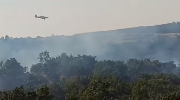 Φωτιά στην Αλεξανδρούπολη: Εστάλη 112 σε τέσσερις οικισμούς – Έκλεισε η Εγνατία λόγω καπνών