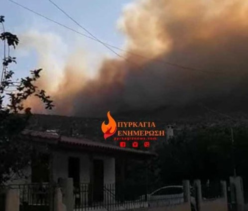 Φωτιά τώρα στην περιοχή Πρόδρομος Βοιωτίας – Κοντά σε οικισμό οι φλόγες
