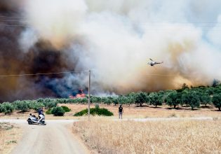 Εύβοια: Έφτασε στον Βατώντα το πύρινο μέτωπο, μηνύματα του 112 για εκκένωση – Σε ετοιμότητα το Λιμενικό