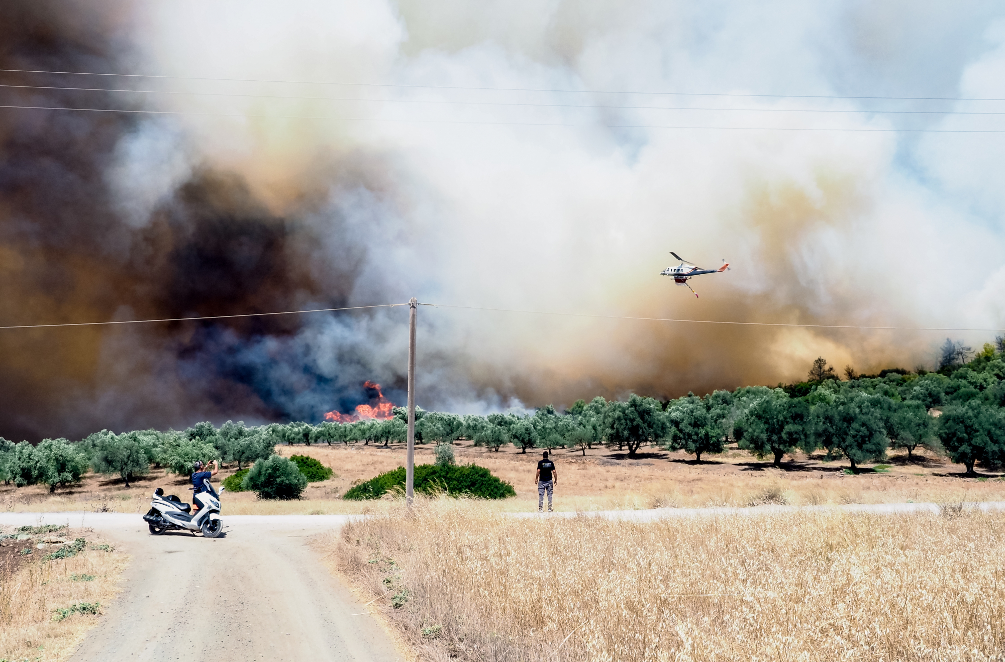 Several major wildfires in Greece over last 2 days amid hot, arid and windy conditions