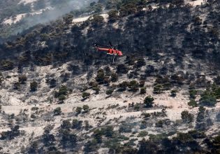 Πυρκαγιά στην Πάρνηθα: Κάηκαν 64.330 στρέμματα – Αποκαρδιωτικά τα στοιχεία για τις φωτιές