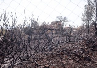 Φωτιά στην Πάρνηθα: Στις καμένες εκτάσεις ο Κυριάκος Μητσοτάκης