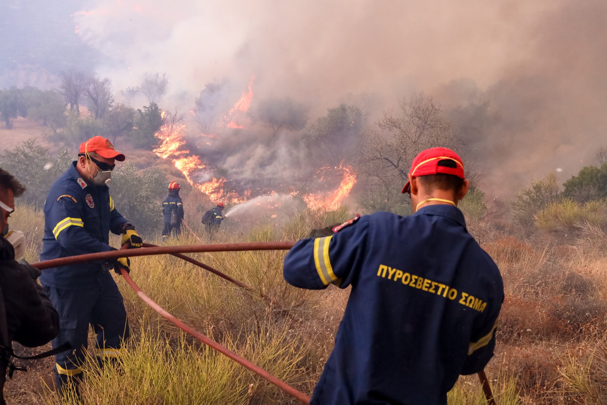 Φωτιές: Μάχη με τις αναζωπυρώσεις σε Πάρνηθα, Έβρο, Ροδόπη, Βοιωτία - 111 πυρκαγιές σε όλη την επικράτεια