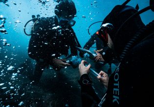 Ένας απρόσμενος σύμμαχος της ανθρωπότητας στη μάχη κατά της κλιματικής αλλαγής