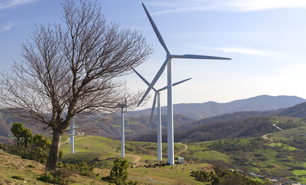 Το πράσινο «στοίχημα» της Νέας Ζηλανδίας – Ηλεκτρική ενέργεια 100% από ΑΠΕ