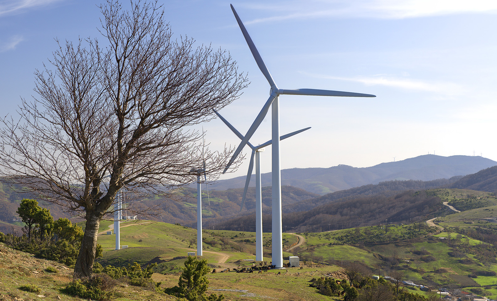 Το πράσινο «στοίχημα» της Νέας Ζηλανδίας - Ηλεκτρική ενέργεια 100% από ΑΠΕ