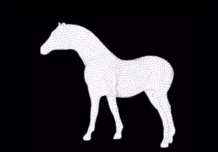 Η οπτική ψευδαίσθηση που έχει διχάσει το TikTok – Εσείς πώς βλέπετε το άλογο;