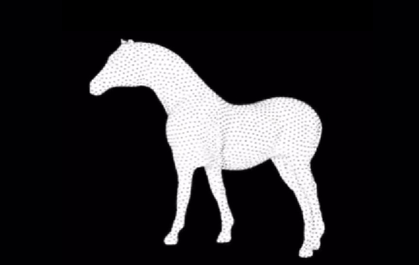 Η οπτική ψευδαίσθηση που έχει διχάσει το TikTok - Εσείς πώς βλέπετε το άλογο;