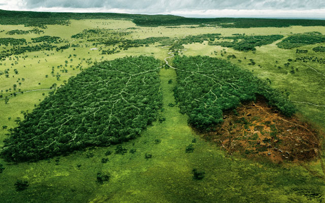 Σύνοδος για τη διάσωση του Αμαζονίου: Κοινή πρωτοβουλία μετά από 14 χρόνια