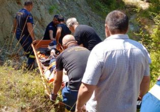 Αρκούδα επιτέθηκε σε άνδρα στην Άρτα – Πώς σώθηκε