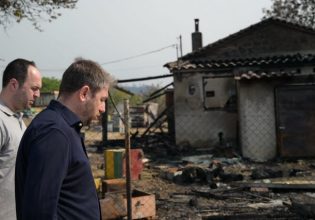 Ανδρουλάκης: Το κλειδί της αντιμετώπισης των πυρκαγιών στη χώρα μας είναι η πρόληψη