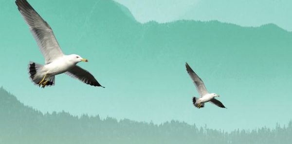 Δήμος Γαλατσίου: Η «Αστρέλια» έρχεται το βράδυ στο Αλσος Βεΐκου