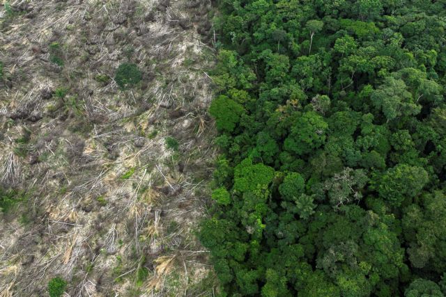 Αμαζόνιος: Μειώθηκε η αποψίλωση στο βραζιλιάνικο τμήμα του – Αυξήθηκε ανησυχητικά στη Σεχάντου