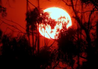 Κλιματική αλλαγή: Οι περίεργες επιπτώσεις της στην καθημερινότητά μας