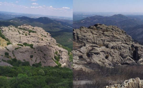 Φωτιά στον Έβρο: Καμένη γη παντού – Το δάσος της Δαδιάς πριν και μετά