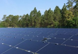 Φωτοβολταϊκά: Υποχρεωτική η φύτευση δένδρων στις εγκαταστάσεις ηλιακών πάνελ