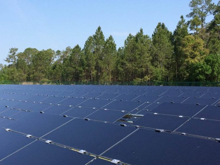 Φωτοβολταϊκά: Υποχρεωτική η φύτευση δένδρων στις εγκαταστάσεις ηλιακών πάνελ