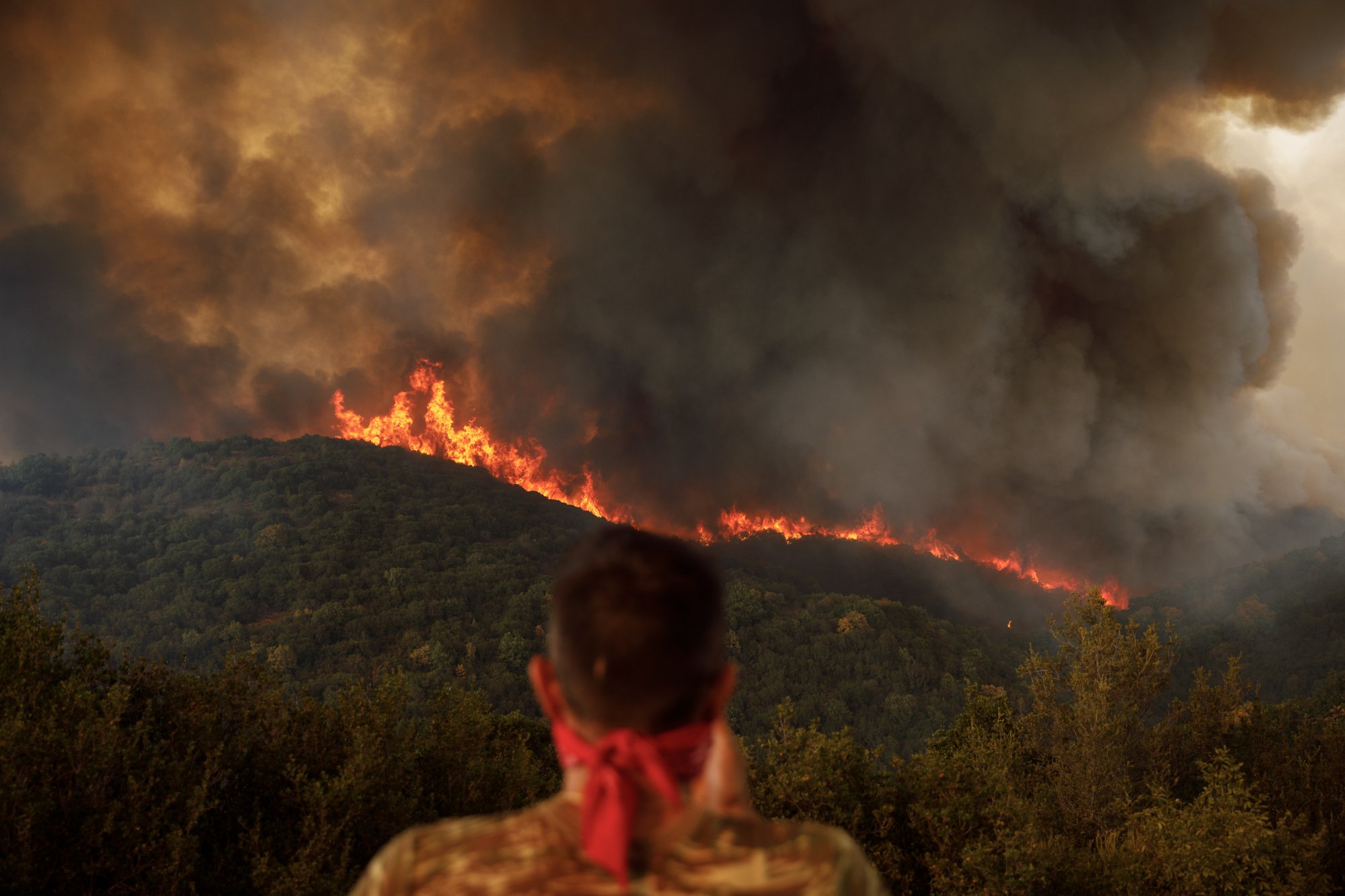 Φωτιά στον Έβρο: Νέο SMS από το 112 για εκκένωση της περιοχής Κοτρωνιά