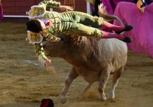 Ταυρομαχία στην Ισπανία: Τον πέταξε στον άερα σαν «κούκλα»