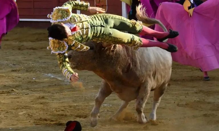 Ταυρομαχία στην Ισπανία: Τον πέταξε στον άερα σαν «κούκλα»