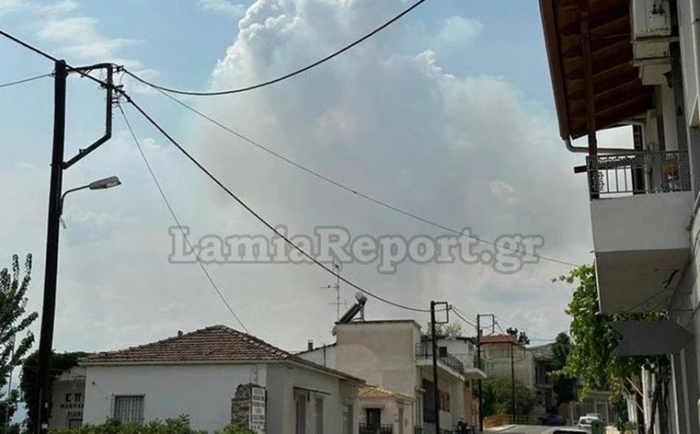 Φθιώτιδα: Ισχυρή αναζωπύρωση της φωτιάς στην Βίτωλη