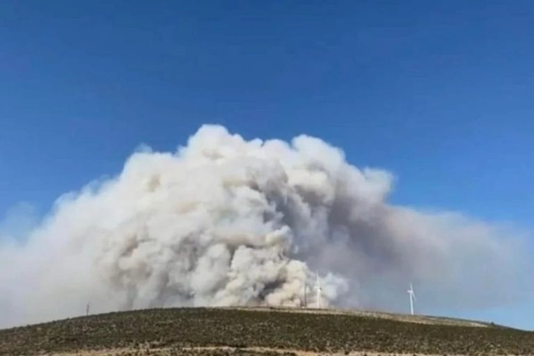 Φωτιά στην Βοιωτία: Οι αστυνομικοί απομακρύνουν κατοίκους οικισμών που απειλούνται – Τραγωδία με έναν νεκρό