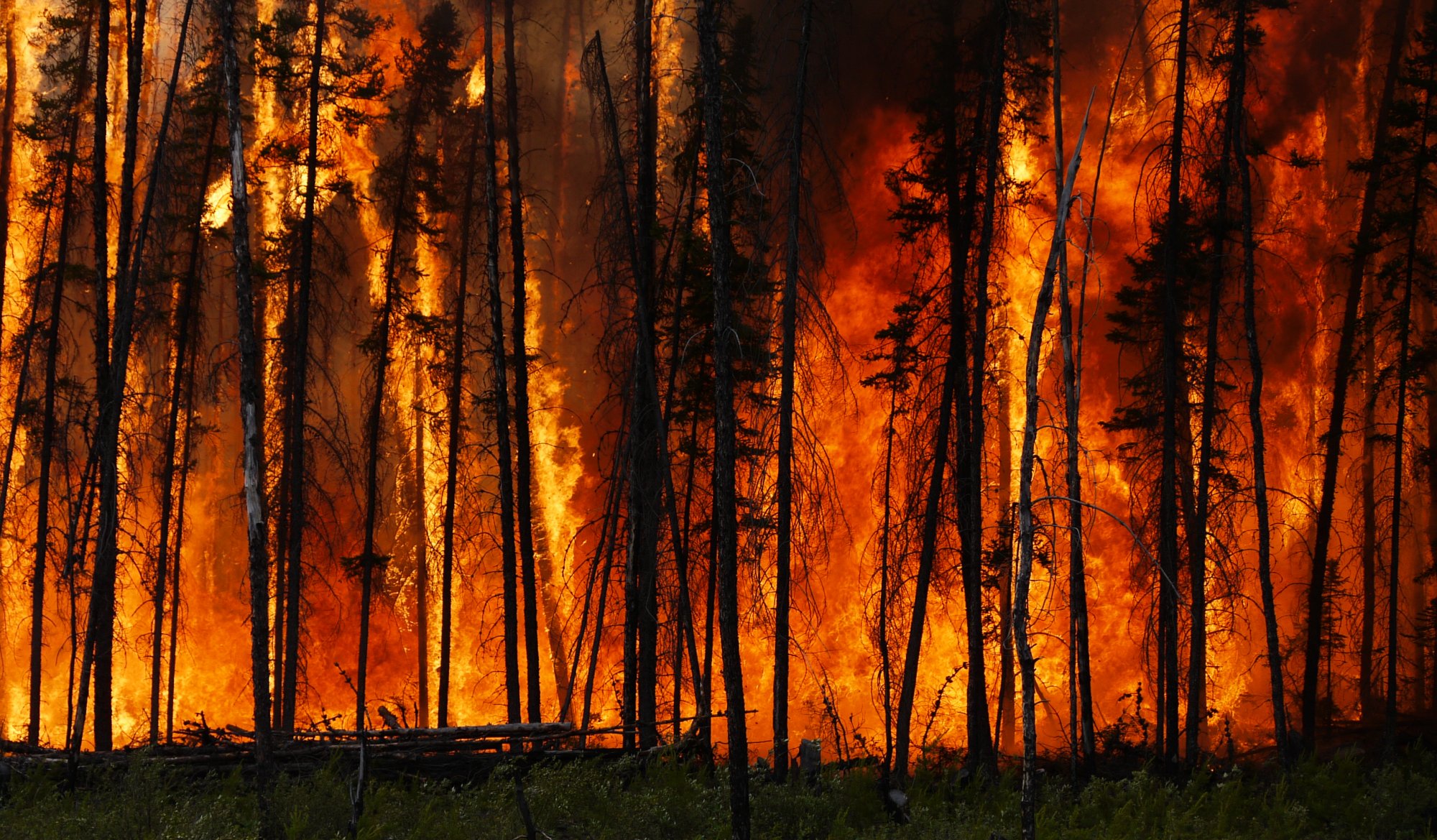 Ρύποι από τις φωτιές και τη γεωργία αυξάνουν την άνοια