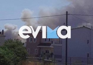 Μεγαλώνει το πύρινο μέτωπο στα Ψαχνά Ευβοίας: Επιχειρούν τέσσερα αεροσκάφη