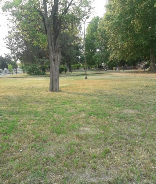 Δημότες στα Τρίκαλα φροντίζουν πλατείες και φτιάχνουν βρύσες