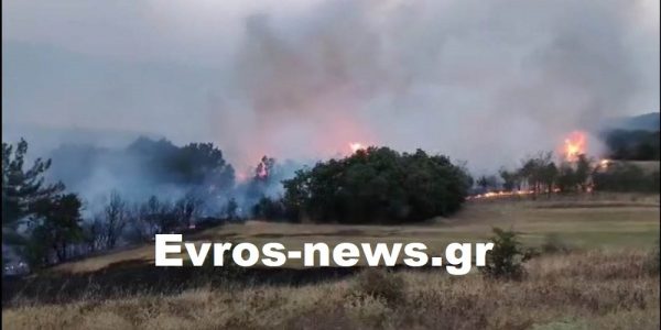 Συναγερμός για μεγάλη πυρκαγιά στην Αλεξανδρούπολη – Σηκώθηκαν εναέρια μέσα