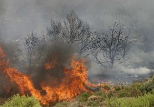 Καιρός: Επιδείνωση των πυρομετεωρολογικών συνθηκών