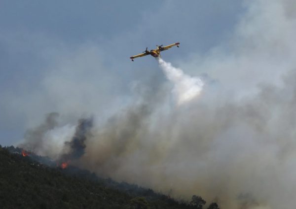 Πυρκαγιά: Μεγάλη φωτιά στην Άνω Δροσίνη Ροδόπης