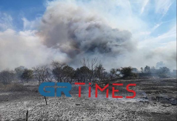 Φωτιά κοντά στον Γαλλικό ποταμό στη Θεσσαλονίκη – Μάχη με τις φλόγες και στην Ορεστιάδα