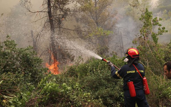 Ζάκυνθος: Απαγόρευση κυκλοφορίας σε δασικές περιοχές λόγω υψηλού κινδύνου πυρκαγιάς