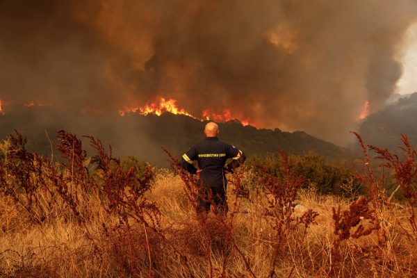 Φωτιές: Ποιοι και γιατί καίνε τα δάση μας
