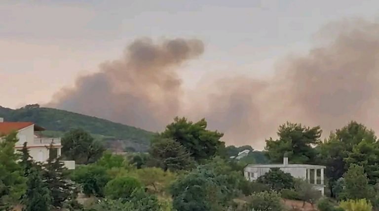 Φωτιά στο Γραμματικό: Κυκλοφοριακές ρυθμίσεις στην περιοχή του Μαραθώνα – Ποιοι δρόμοι θα παραμείνουν κλειστοί