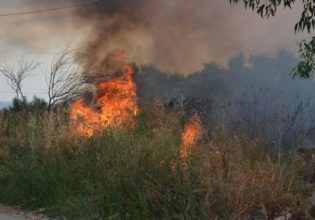 Φωτιά τώρα στα Γρεβενά σε δασική έκταση – Μεγάλη κινητοποίηση της Πυροσβεστικής