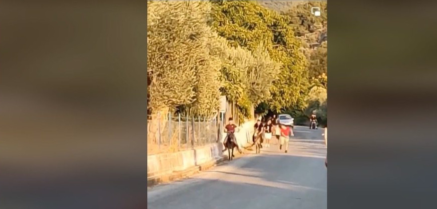 Νέα κακοποίηση ζώου: Καταγγελία για αγώνες δρόμου γαϊδουριών με ανήλικους αναβάτες στη Λέσβο
