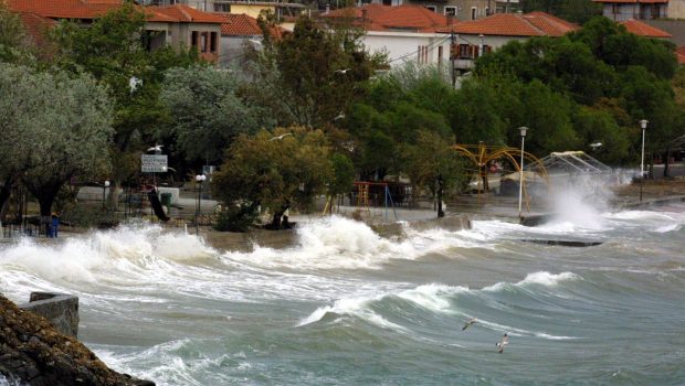 Δολοφονία τουρίστριας στο Πήλιο: Ανοιχτά όλα τα ενδεχόμενα - Κλήθηκαν για  κατάθεση ο σύζυγός και οι κόρες της | in.gr