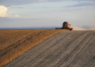ΟΣΔΕ: Πότε ένα αγροτεμάχιο θεωρείται μη επιλέξιμο – Τι πρέπει να προσέξουν οι αγρότες