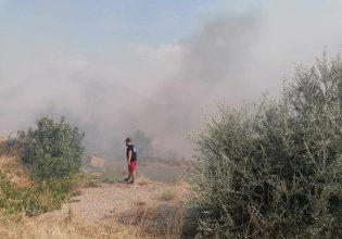 Φωτιά στο Κοντοδεσπότι Εύβοιας: Νέο μέτωπο – Σηκώθηκαν και εναέρια, εκκενώνεται το χωριό