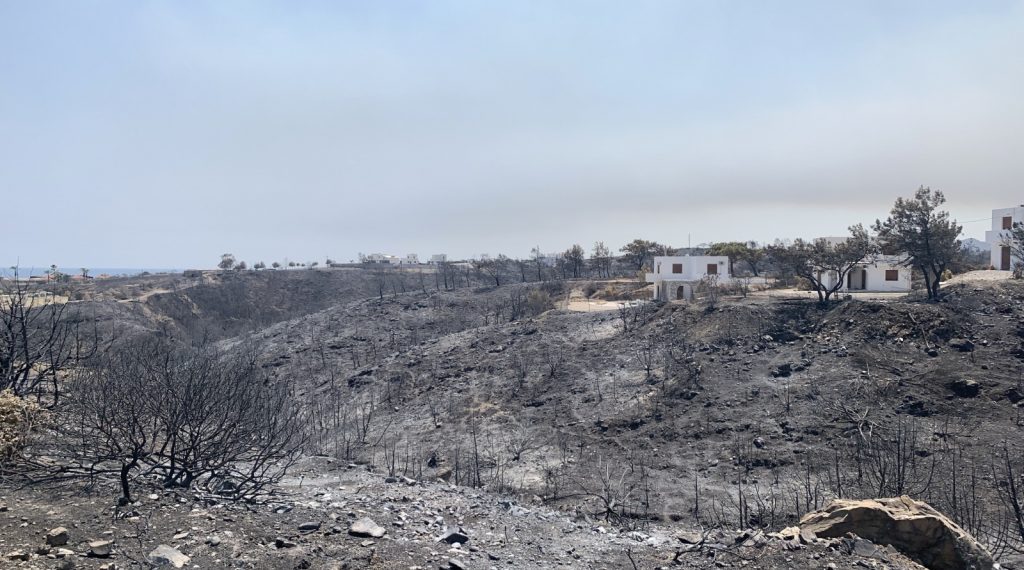 ΥπΑΑΤ: Τι ισχύει με τις αγροτικές αποζημιώσεις από τις πυρκαγιές 2023