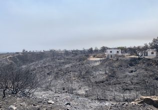 ΥπΑΑΤ: Τι ισχύει με τις αγροτικές αποζημιώσεις από τις πυρκαγιές 2023