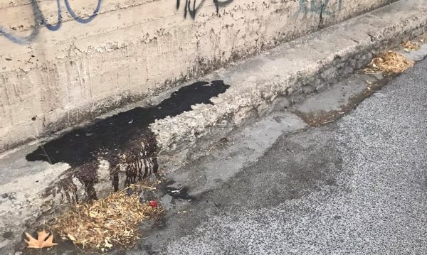 ΚΕΕΡΦΑ: Καμία συγκάλυψη του ρατσιστικού κινήτρου των φασιστοειδών δολοφόνων του Σιράζ Σαφτάρ